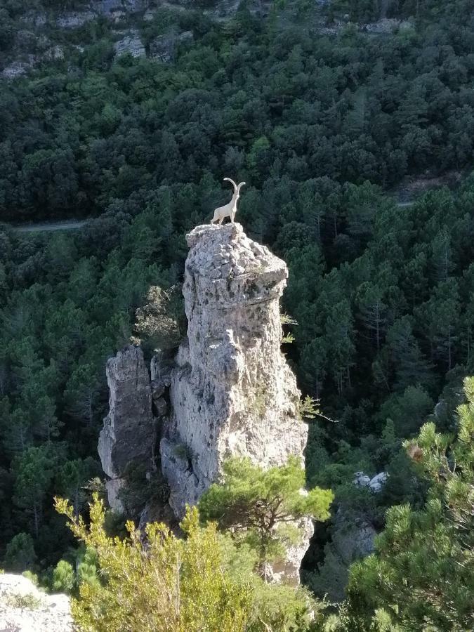 Lo Flamenc 2 @Amposta Daire Dış mekan fotoğraf